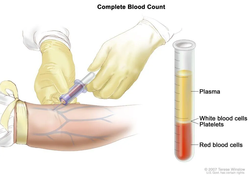 Blood collection tubes and laboratory testing environment for CBC test